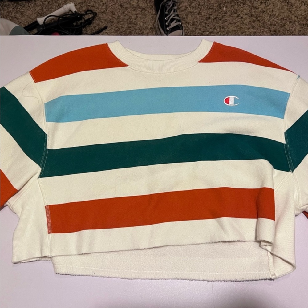 stripped champion sweatshirt
